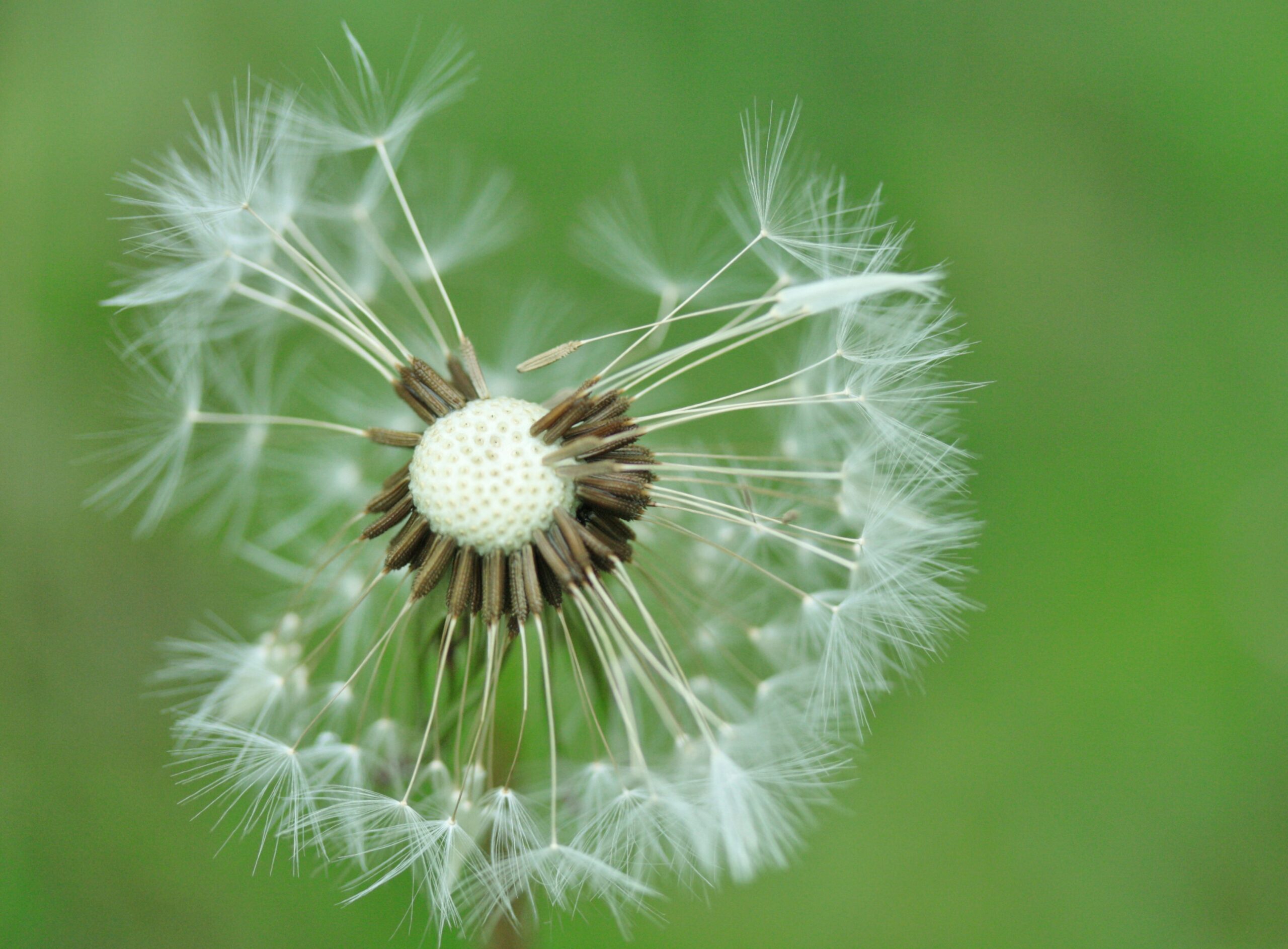 Rust in mijn hoofd - coaching