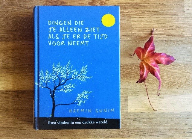 Rust vinden in een drukke wereld