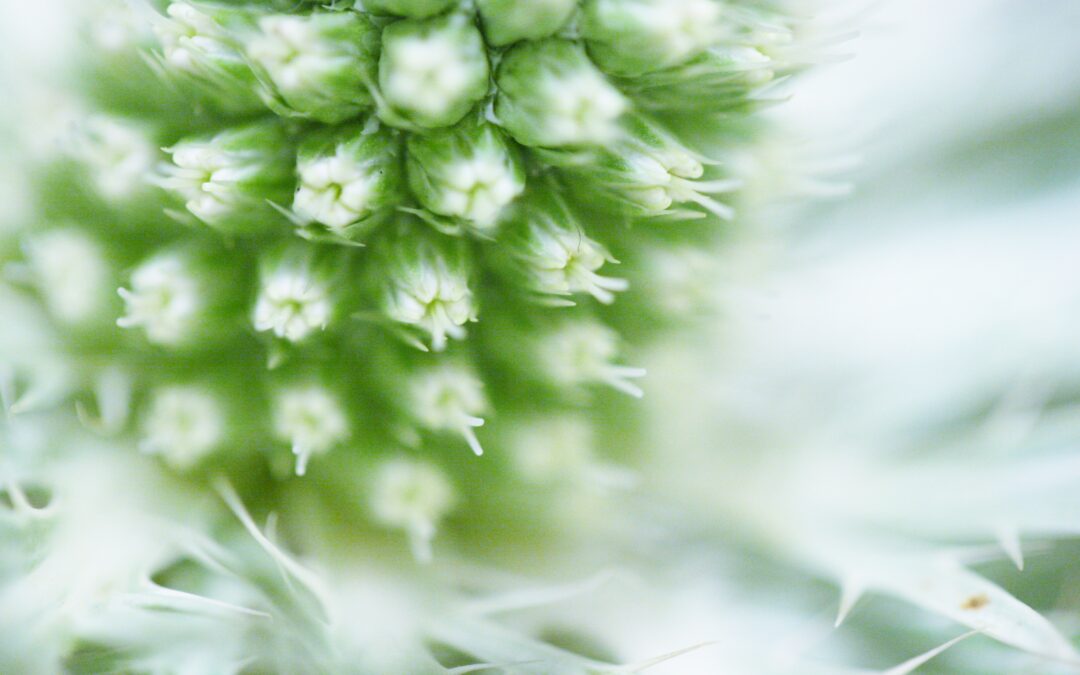 Tips tegen decemberstress