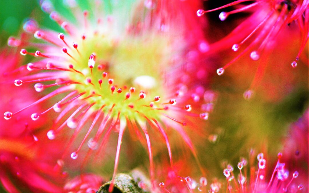 Goede voornemens of goede gewoontes?