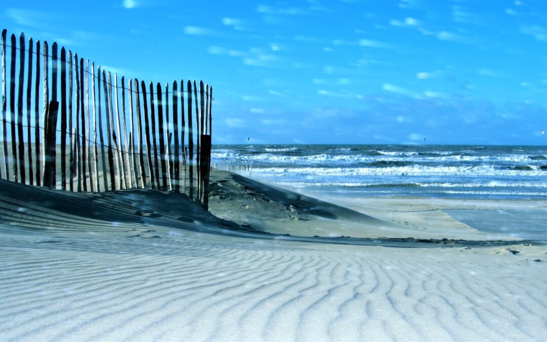 Volg jij je (dag)droom?