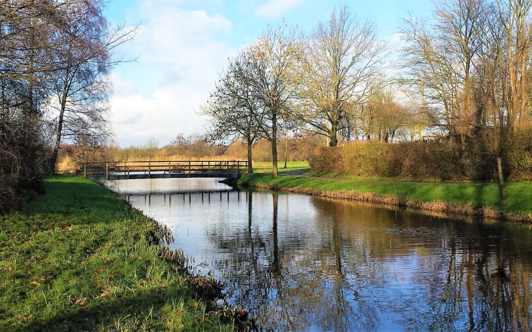 Ingrediënten voor een mooie dag