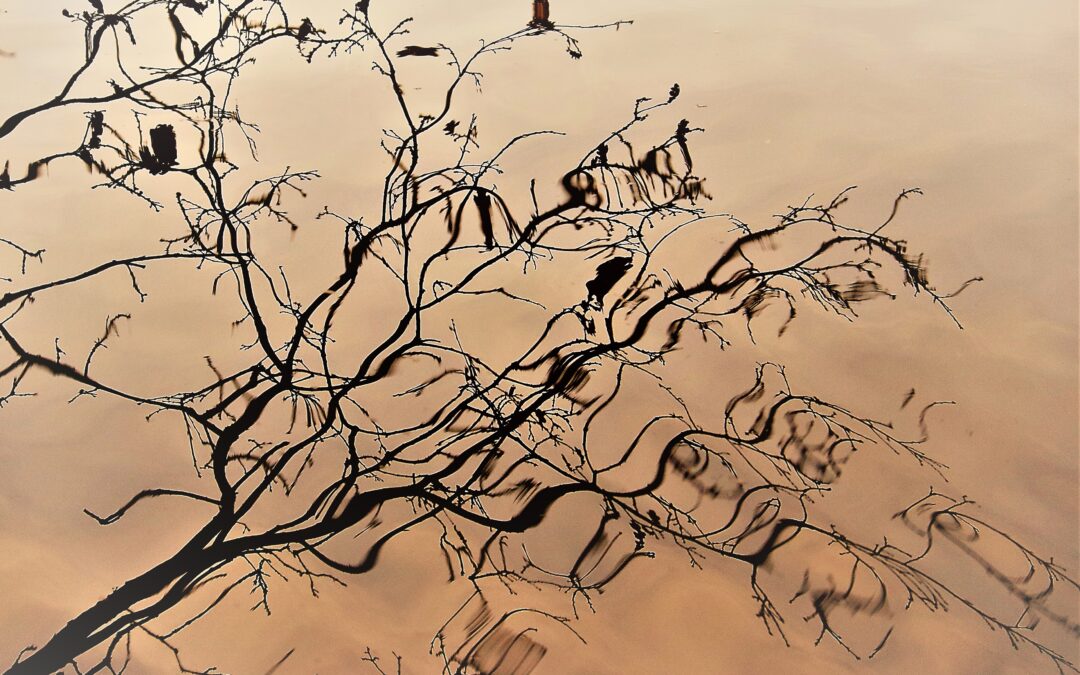 Is ‘druk zijn’ ons nieuwe merk?