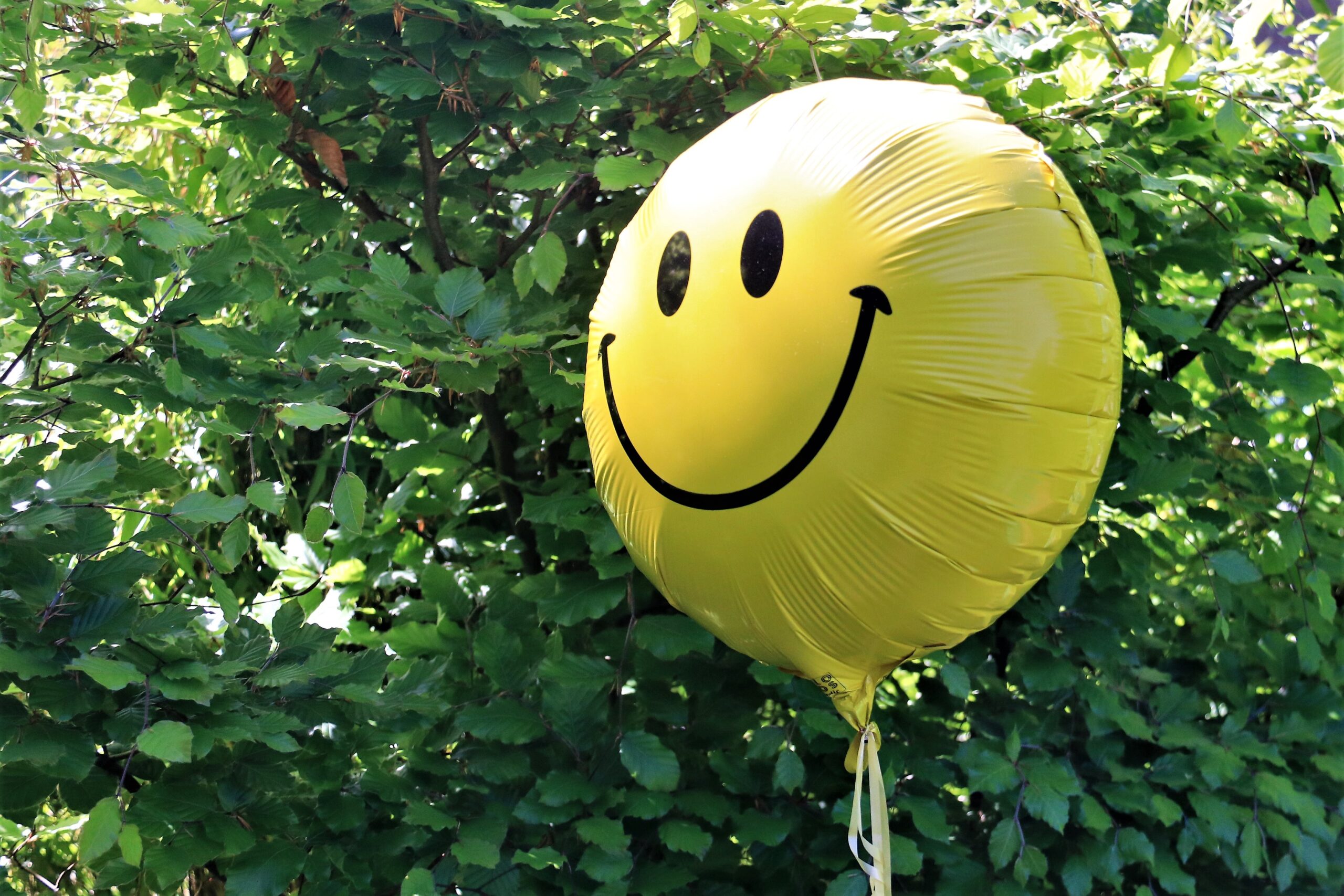 Smiley ballon voor een groene haag -Doodgewone dag? - Rust in mijn hoofd coaching