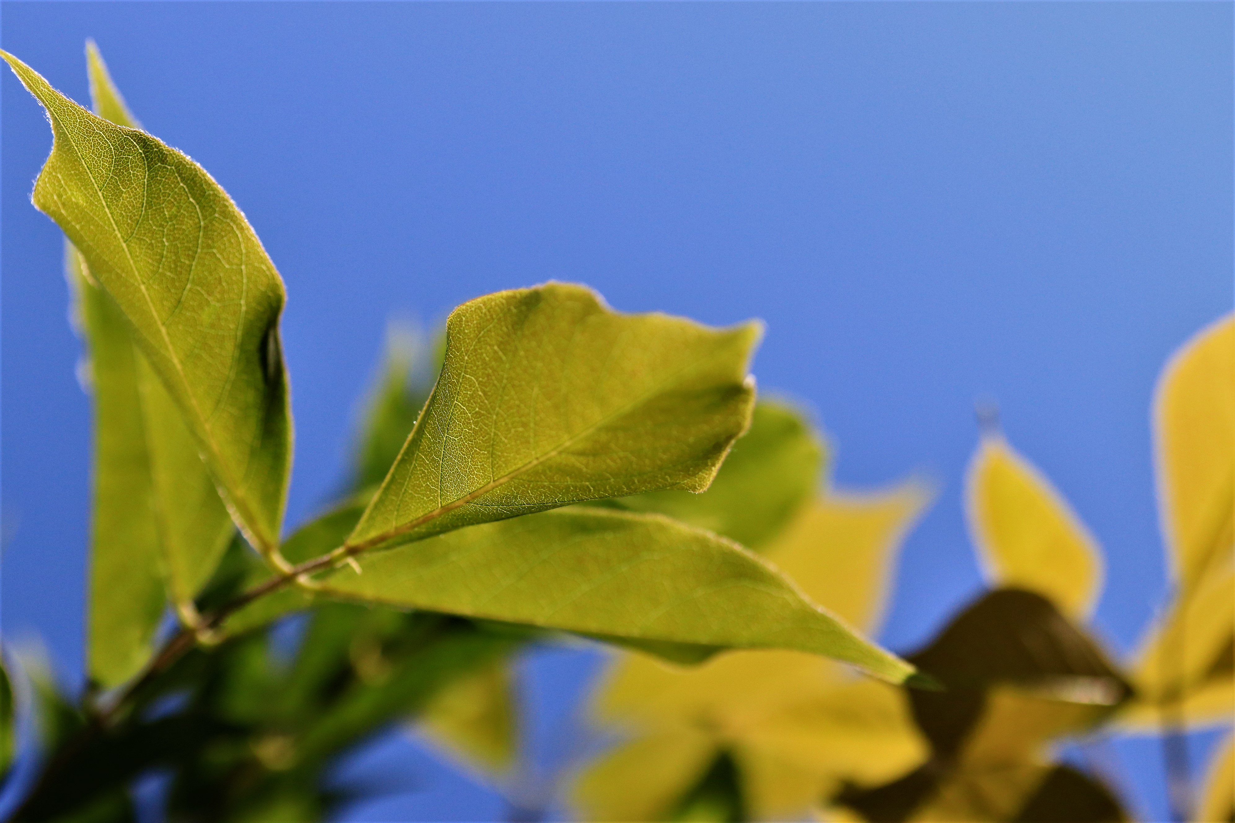 5 manieren om de dag goed te beginnen