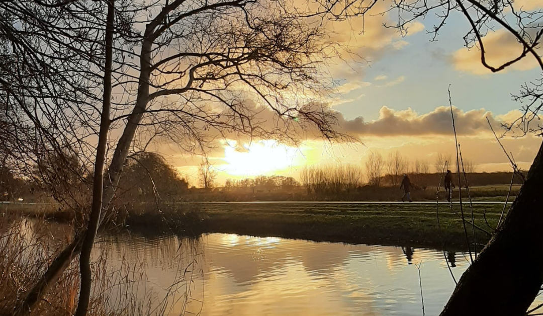 Verlaag je stress met Nervus Vagus