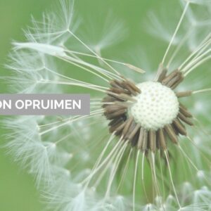 Programma Persoon Opruimen